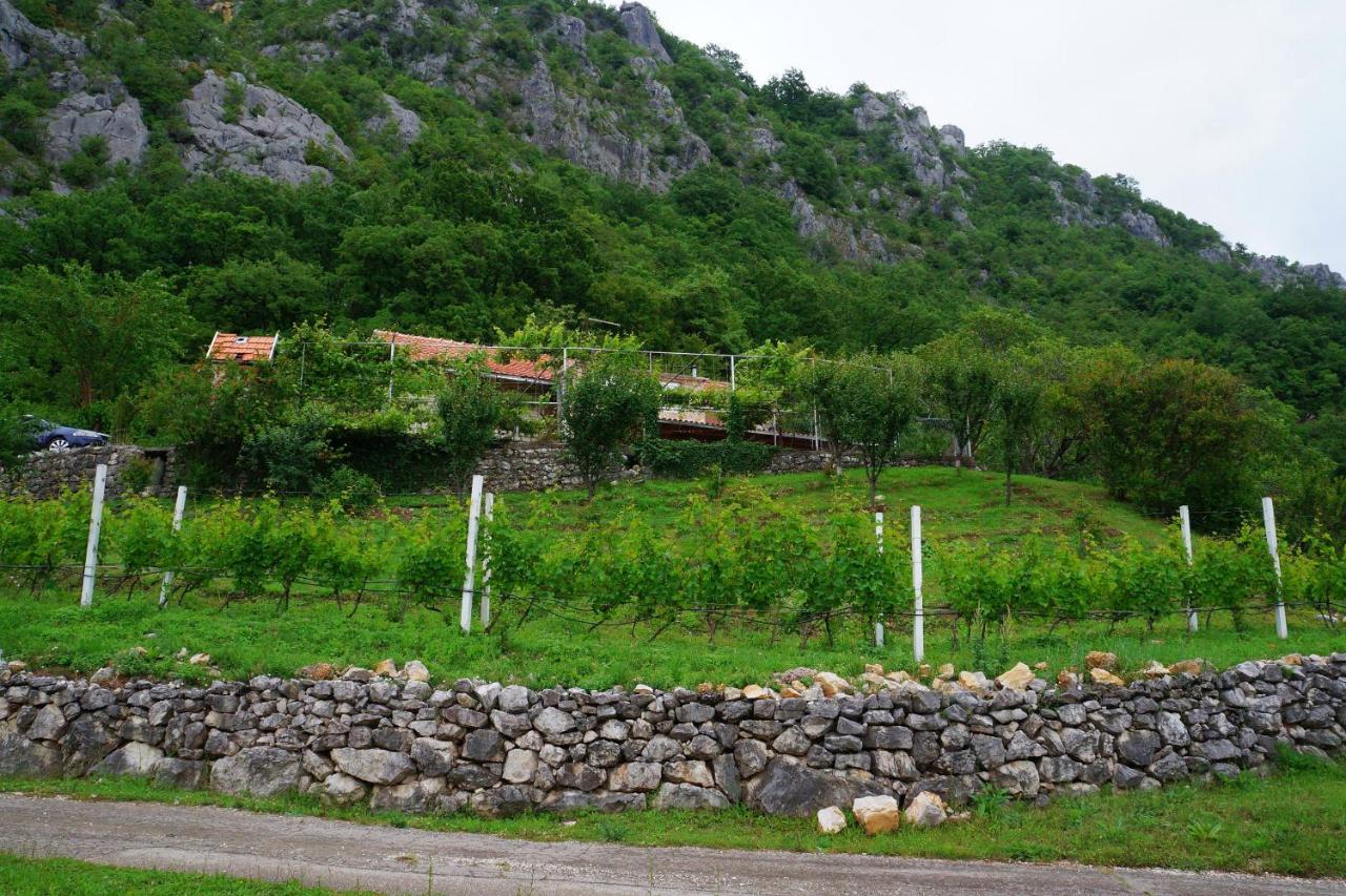 Апартаменти Old House Kontic Нікшич Екстер'єр фото